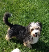 processed/2f88d955-71be-49b8-899f-bad3d833a4ea/listing/0443fd1f-a739-4c6f-a17a-13513d17d256/902ed913-c616-4c73-94fd-b6379c4ae258