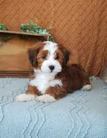 processed/2f88d955-71be-49b8-899f-bad3d833a4ea/listing/0443fd1f-a739-4c6f-a17a-13513d17d256/da48e11d-0184-41ba-a3ab-585dce697756