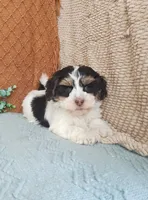 processed/2f88d955-71be-49b8-899f-bad3d833a4ea/listing/3182ea20-5278-42d4-8036-da87820110d3/55c96fbe-06e3-4237-83fa-8080944af67a