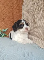 processed/2f88d955-71be-49b8-899f-bad3d833a4ea/listing/3182ea20-5278-42d4-8036-da87820110d3/f07380f9-d322-42d7-9fc5-7cb634842acb