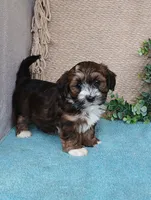 processed/2f88d955-71be-49b8-899f-bad3d833a4ea/listing/38eba310-1867-4831-9211-4ae621ff277b/1ac57236-1a27-41a3-b0ed-61a8b3d91935