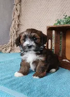 processed/2f88d955-71be-49b8-899f-bad3d833a4ea/listing/38eba310-1867-4831-9211-4ae621ff277b/ad7dda0b-a311-45e2-a072-6334401ea76c