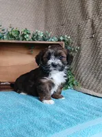 processed/2f88d955-71be-49b8-899f-bad3d833a4ea/listing/38eba310-1867-4831-9211-4ae621ff277b/ea995c88-5f71-4a8c-afcb-16cf5a1e919d