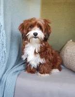 processed/2f88d955-71be-49b8-899f-bad3d833a4ea/listing/6e2bf34c-8f20-4555-8361-4d08eb401acd/aacb8d9a-0a70-41fe-a033-ef22c3b0c861