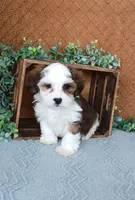 processed/2f88d955-71be-49b8-899f-bad3d833a4ea/listing/7bdbd48e-b7b0-4fba-9415-34715735b52f/158f79de-5d44-4316-9c44-9b6fd5e92417