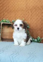 processed/2f88d955-71be-49b8-899f-bad3d833a4ea/listing/7bdbd48e-b7b0-4fba-9415-34715735b52f/1c1d0cce-fee8-4050-90f2-c6e7925d7f91