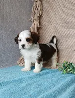 processed/2f88d955-71be-49b8-899f-bad3d833a4ea/listing/7bdbd48e-b7b0-4fba-9415-34715735b52f/6b9d02d4-be4c-44c6-be93-d3325297ca28