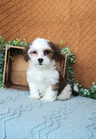 processed/2f88d955-71be-49b8-899f-bad3d833a4ea/listing/7bdbd48e-b7b0-4fba-9415-34715735b52f/79324842-6ce7-4400-86b8-ca4771f807df