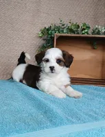 processed/2f88d955-71be-49b8-899f-bad3d833a4ea/listing/7bdbd48e-b7b0-4fba-9415-34715735b52f/ba9ad5dc-2f9d-4d37-b334-8dcd8157b0ad