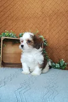 processed/2f88d955-71be-49b8-899f-bad3d833a4ea/listing/7bdbd48e-b7b0-4fba-9415-34715735b52f/f1f730ac-2b18-4144-9b1d-7ac4f05d9098