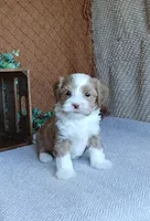 processed/2f88d955-71be-49b8-899f-bad3d833a4ea/listing/7bf7d3c1-42df-4eca-a1f1-e640c7bbdcdc/476a21ab-27aa-48ab-a8dd-df29745d9a62