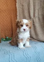 processed/2f88d955-71be-49b8-899f-bad3d833a4ea/listing/7bf7d3c1-42df-4eca-a1f1-e640c7bbdcdc/4cd7244d-eb31-47fe-a1cc-df2885b4e947