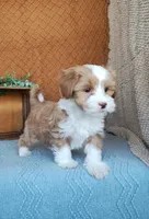 processed/2f88d955-71be-49b8-899f-bad3d833a4ea/listing/7bf7d3c1-42df-4eca-a1f1-e640c7bbdcdc/6b589bbb-196a-4a68-8e27-01a096f876d4