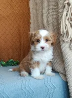 processed/2f88d955-71be-49b8-899f-bad3d833a4ea/listing/7bf7d3c1-42df-4eca-a1f1-e640c7bbdcdc/d10f47a8-fce6-4597-ab01-b11d7570a344