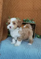 processed/2f88d955-71be-49b8-899f-bad3d833a4ea/listing/7bf7d3c1-42df-4eca-a1f1-e640c7bbdcdc/de428107-591a-4c20-9951-27a44139cd43