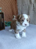 processed/2f88d955-71be-49b8-899f-bad3d833a4ea/listing/7bf7d3c1-42df-4eca-a1f1-e640c7bbdcdc/e6a5e864-b5fb-4ec0-af93-c4a0df0d67c4