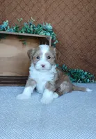 processed/2f88d955-71be-49b8-899f-bad3d833a4ea/listing/7bf7d3c1-42df-4eca-a1f1-e640c7bbdcdc/e74ad32e-9be4-44f2-9a82-68e21a26d768