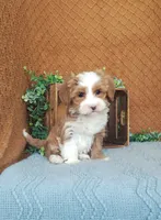 processed/2f88d955-71be-49b8-899f-bad3d833a4ea/listing/946dfc4f-19b6-4f24-947e-e180da011543/049c8746-27a4-4b98-a796-30d5d9e75b33