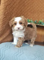 processed/2f88d955-71be-49b8-899f-bad3d833a4ea/listing/946dfc4f-19b6-4f24-947e-e180da011543/46a97c65-9a31-4a87-9d4e-7f62d2286794