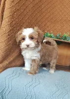 processed/2f88d955-71be-49b8-899f-bad3d833a4ea/listing/946dfc4f-19b6-4f24-947e-e180da011543/6254dd8f-3d1e-4cb3-b971-a249a783d958