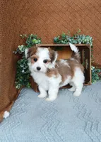 processed/2f88d955-71be-49b8-899f-bad3d833a4ea/listing/a03362b2-ce0b-42fb-b09c-450fd36d03c4/0a9b22a5-6433-454c-b422-13ba68d6e181