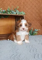 processed/2f88d955-71be-49b8-899f-bad3d833a4ea/listing/a84d6183-623d-4b71-ab2d-b5e3f2891fff/50c94532-570f-42f5-92e8-74dbd6e850cb