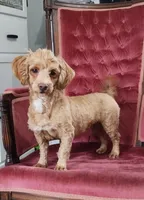 processed/2f88d955-71be-49b8-899f-bad3d833a4ea/listing/ec6f2997-164d-433c-b071-d30de9a9caca/1498ee7c-b06f-4b5b-bbb5-4b7ee7bde641