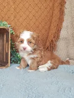 processed/2f88d955-71be-49b8-899f-bad3d833a4ea/listing/ec6f2997-164d-433c-b071-d30de9a9caca/8b79d8f5-7c05-40bf-9d2e-a78ef1f0a122