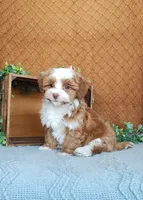 processed/2f88d955-71be-49b8-899f-bad3d833a4ea/listing/ec6f2997-164d-433c-b071-d30de9a9caca/bf74d128-5846-4c70-85d6-e7065ad6165a