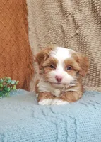 processed/2f88d955-71be-49b8-899f-bad3d833a4ea/listing/ec6f2997-164d-433c-b071-d30de9a9caca/c36112da-483f-4538-8c32-3881c8d9e908