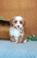 processed/2f88d955-71be-49b8-899f-bad3d833a4ea/listing/ec6f2997-164d-433c-b071-d30de9a9caca/db3714c9-2f1f-4777-ab17-eff68e7b9b31