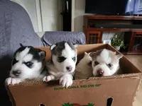 processed/2f922781-116e-4d20-810f-9956d007d605/listing/3fee1e99-375f-4d5e-8b4c-1e07abb077c2/3d5f73d9-d9c0-4276-8d74-f56211d97ed6