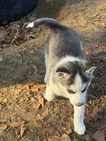 processed/2f922781-116e-4d20-810f-9956d007d605/listing/3fee1e99-375f-4d5e-8b4c-1e07abb077c2/7bc0caee-8746-46fa-a300-a1a5fced5a67