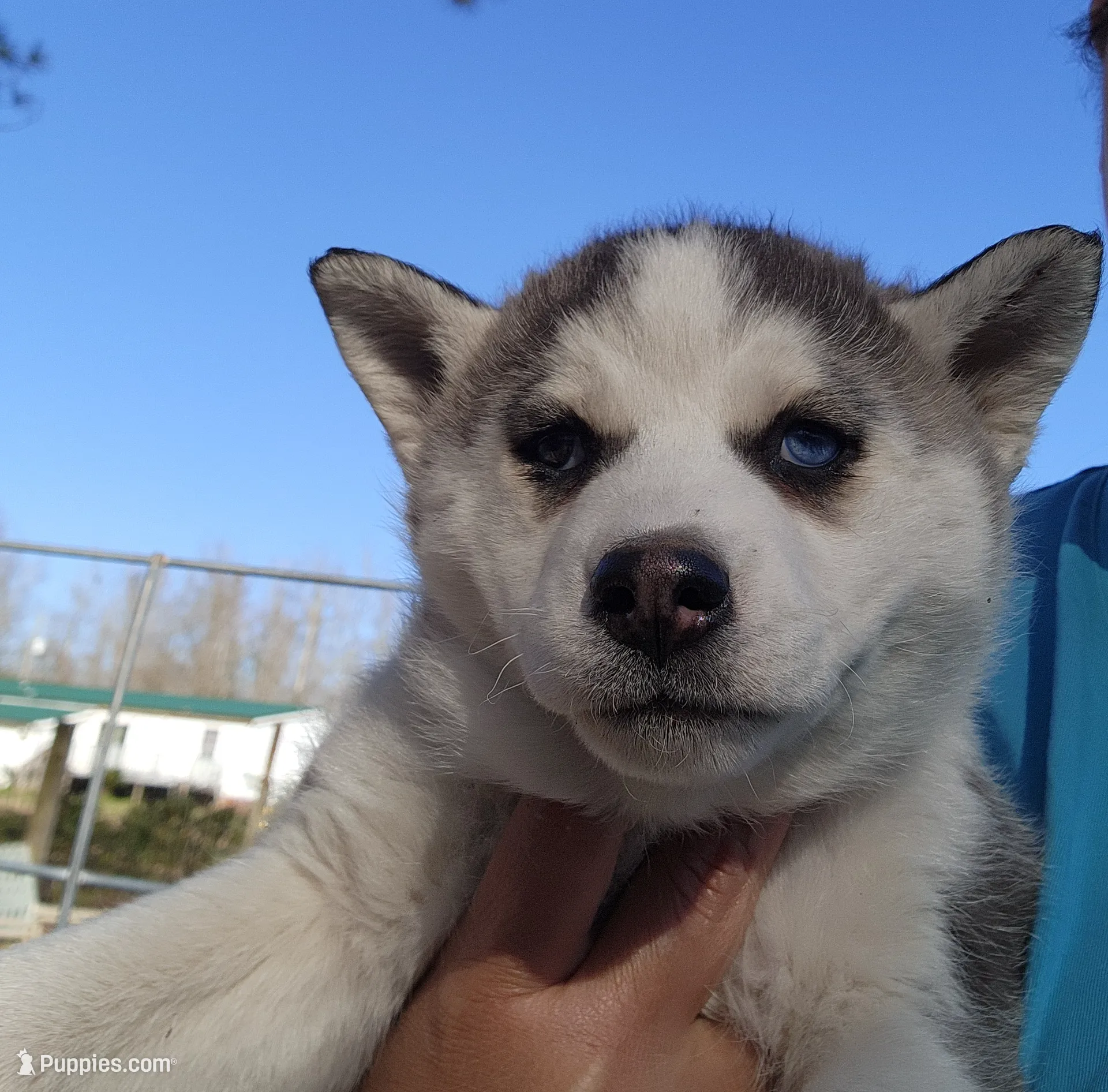 processed/2f922781-116e-4d20-810f-9956d007d605/listing/3fee1e99-375f-4d5e-8b4c-1e07abb077c2/9b8ec091-94f2-4d2c-a924-af069c35835f