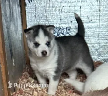 processed/2f922781-116e-4d20-810f-9956d007d605/listing/3fee1e99-375f-4d5e-8b4c-1e07abb077c2/9cbedad1-0299-4d72-bace-c457c8ee1cf0