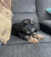 processed/2f944281-8ce3-403e-b92b-a48714574edb/listing/048da006-9325-43ca-af5e-18ea53618f13/51cb0da0-a217-4f1e-8a73-ef1abfe94985