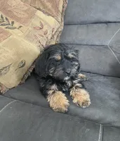 processed/2f944281-8ce3-403e-b92b-a48714574edb/listing/048da006-9325-43ca-af5e-18ea53618f13/bfa6d4dd-8619-4d8a-a086-54f2e08efdd3