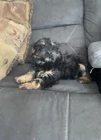 processed/2f944281-8ce3-403e-b92b-a48714574edb/listing/048da006-9325-43ca-af5e-18ea53618f13/c62003d5-09f4-41ba-8319-014b657272ab