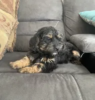 processed/2f944281-8ce3-403e-b92b-a48714574edb/listing/048da006-9325-43ca-af5e-18ea53618f13/d0afa2b4-cdac-400b-995f-459fd0f7f9dd