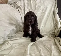 processed/2f944281-8ce3-403e-b92b-a48714574edb/listing/192ce6c6-6eab-4f97-9ae1-880b0731fb6d/3ec8aa56-1385-4222-ae4c-d6186d3b53cd