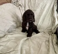 processed/2f944281-8ce3-403e-b92b-a48714574edb/listing/192ce6c6-6eab-4f97-9ae1-880b0731fb6d/9d7d76db-e3b7-4935-bd09-0d709cff0257