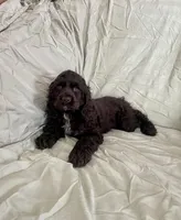 processed/2f944281-8ce3-403e-b92b-a48714574edb/listing/449f21bf-4503-4192-81de-0074ba21e84a/0834294b-1fb4-4561-a134-ff0f402568cc