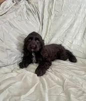 processed/2f944281-8ce3-403e-b92b-a48714574edb/listing/449f21bf-4503-4192-81de-0074ba21e84a/2c4bc50e-b02d-4e9c-8d1a-fc8a7be7de14