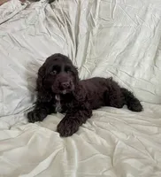 processed/2f944281-8ce3-403e-b92b-a48714574edb/listing/449f21bf-4503-4192-81de-0074ba21e84a/3edaf85e-bdd0-4f02-af4c-826b3ba33f28