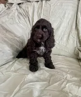 processed/2f944281-8ce3-403e-b92b-a48714574edb/listing/449f21bf-4503-4192-81de-0074ba21e84a/b5f89415-539a-450b-b546-7863c81967db