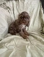 processed/2f944281-8ce3-403e-b92b-a48714574edb/listing/45d4da7d-6647-4c5a-91e9-33abac1e0f52/039f11f9-b09e-44e8-b7ae-8d7705b65ab8