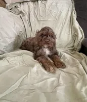 processed/2f944281-8ce3-403e-b92b-a48714574edb/listing/45d4da7d-6647-4c5a-91e9-33abac1e0f52/408f2a87-ecad-4637-aa27-ee3eaaf58654