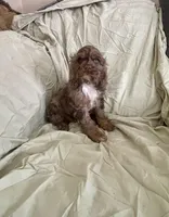 processed/2f944281-8ce3-403e-b92b-a48714574edb/listing/45d4da7d-6647-4c5a-91e9-33abac1e0f52/60f31df1-21fc-461b-ae3d-b3cebefe12ae