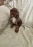 processed/2f944281-8ce3-403e-b92b-a48714574edb/listing/45d4da7d-6647-4c5a-91e9-33abac1e0f52/8881085d-39d2-4e47-b9ed-0b9d83d08ae7