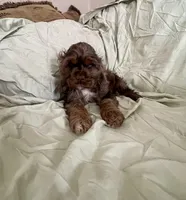 processed/2f944281-8ce3-403e-b92b-a48714574edb/listing/45d4da7d-6647-4c5a-91e9-33abac1e0f52/bf246b61-48a9-4088-ad12-bb24e76fd194